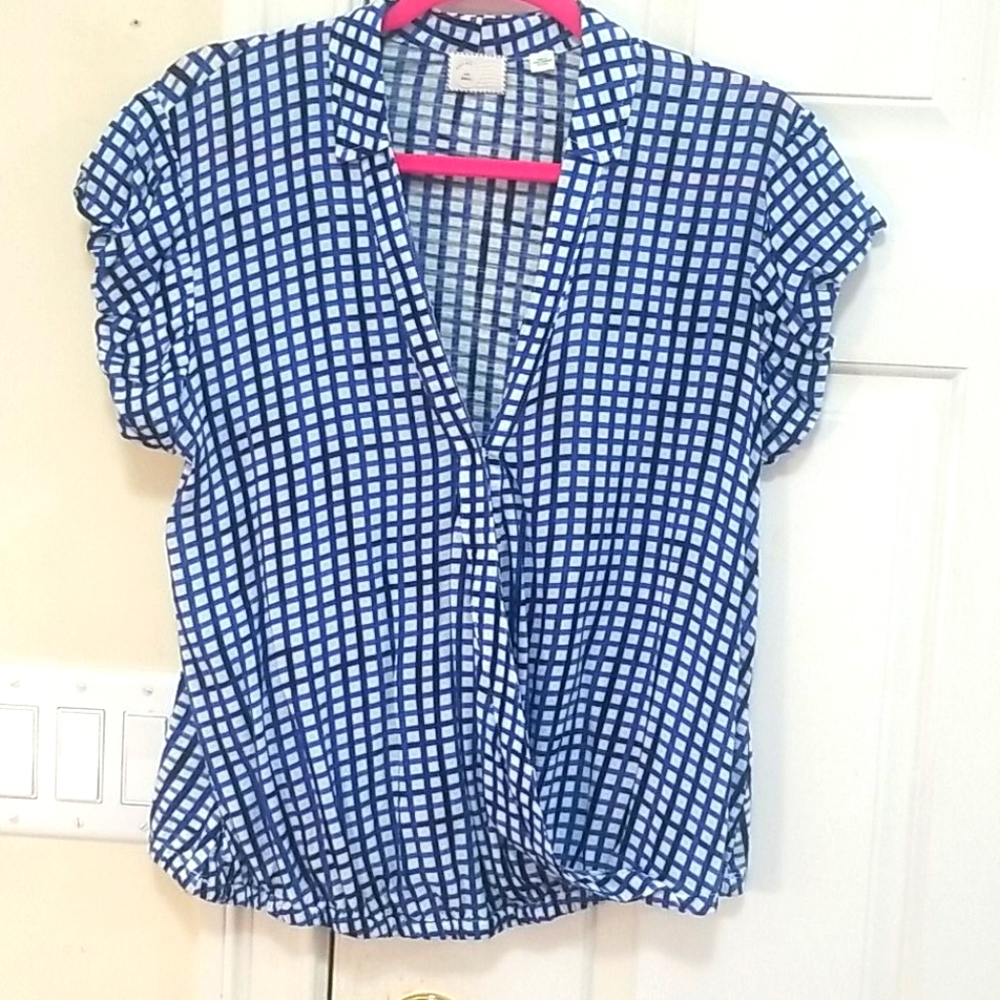 Anthropologie Blue Check Blouse